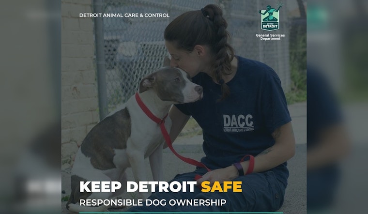 Local Dog Rescues in Metro Detroit Battle Deadly Winter Chill to Save Pets