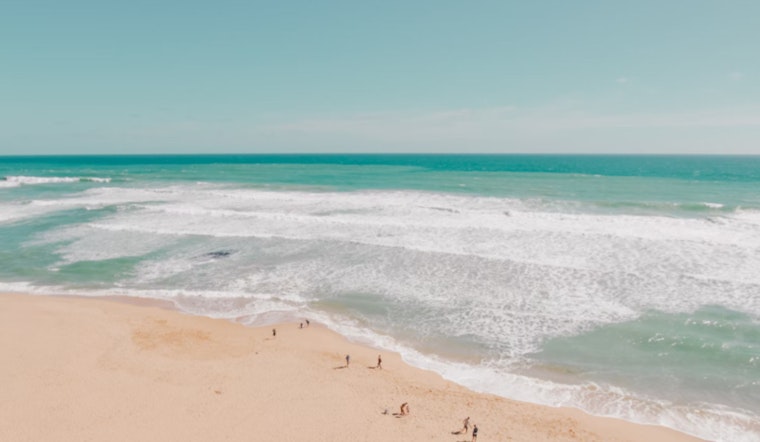 Los Angeles County Health Officials Issue Ocean Advisory Post-Fires: Toxic Ash Risk at Select Beaches
