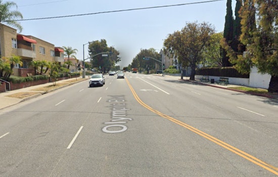 Los Angeles Cyclists and Mercedes-Benz Driver's Encounter Raises Road Safety Concerns