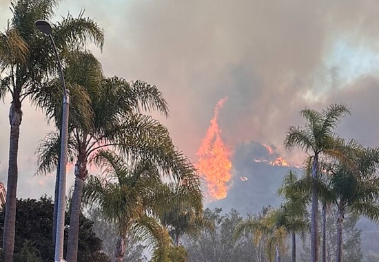 Los Angeles Grapples with Palisades Fire, Evacuation Orders and ATF Investigation Underway as Blaze Claims Lives and Structures