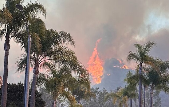 Los Angeles Grapples with Palisades Fire, Evacuation Orders and ATF Investigation Underway as Blaze Claims Lives and Structures