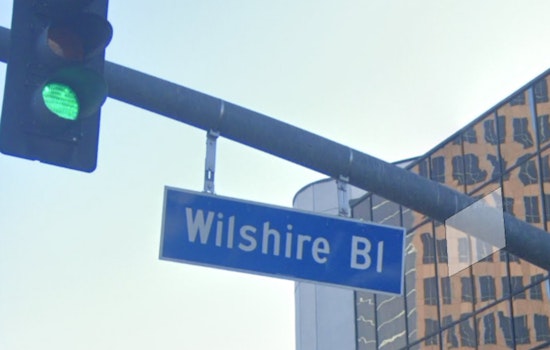 Los Angeles Police Seek Public's Help to Find Suspect in Hit-and-Run That Severely Injured Pedestrian Near Wilshire Blvd
