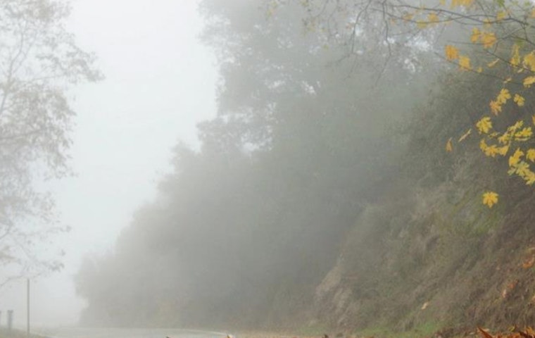 Los Angeles Shrouded in Dense Fog: Drivers Cautioned as Visibility Drops, Air Quality Concerns Prompt Wood-Burning Ban
