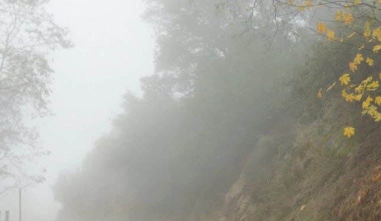 Los Angeles Shrouded in Dense Fog: Drivers Cautioned as Visibility Drops, Air Quality Concerns Prompt Wood-Burning Ban