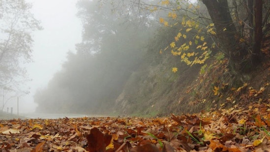 Los Angeles Welcomes Gentle Weather, Foggy Mornings Give Way to Sunny Skies