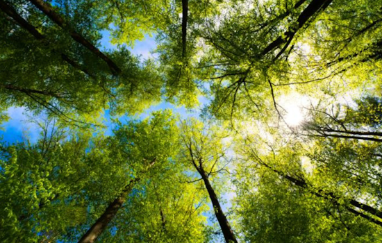 Macomb County Welcomes Spring with Annual Affordable Tree and Plant Sale