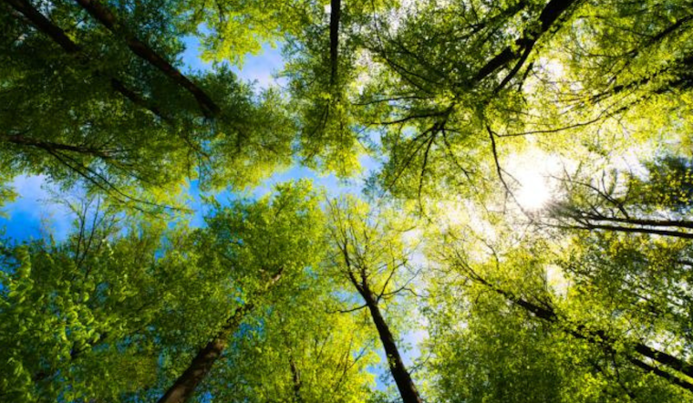 Macomb County Welcomes Spring with Annual Affordable Tree and Plant Sale