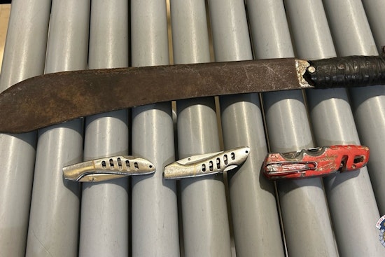 Man with Machete and Knives Arrested at U.S. Capitol Amid Jimmy Carter Mourning Ceremony