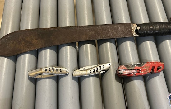 Man with Machete and Knives Arrested at U.S. Capitol Amid Jimmy Carter Mourning Ceremony