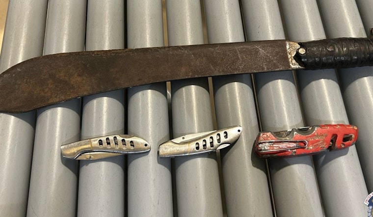 Man with Machete and Knives Arrested at U.S. Capitol Amid Jimmy Carter Mourning Ceremony