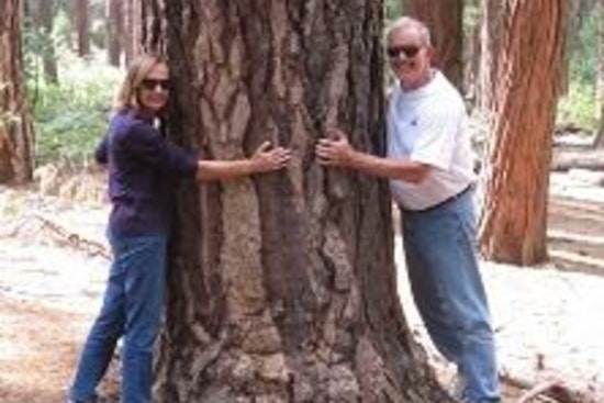 Maple Grove Calls for Community Involvement in Urban Forest Stewardship, Arbor Committee Applications Open Until January 30