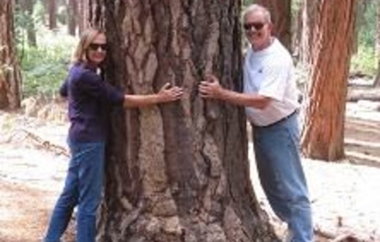 Maple Grove Calls for Community Involvement in Urban Forest Stewardship, Arbor Committee Applications Open Until January 30