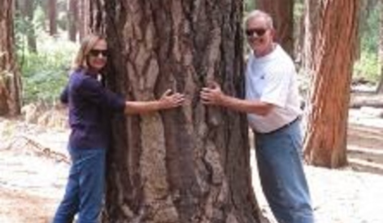 Maple Grove Calls for Community Involvement in Urban Forest Stewardship, Arbor Committee Applications Open Until January 30