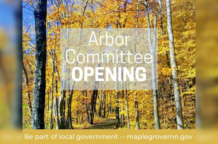 Maple Grove Seeks New Arbor Committee Member to Enhance Urban Forest