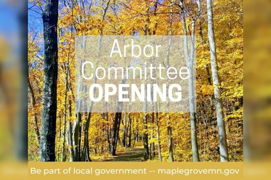Maple Grove Seeks New Arbor Committee Member to Enhance Urban Forest