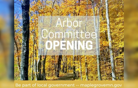 Maple Grove Seeks New Arbor Committee Member to Enhance Urban Forest