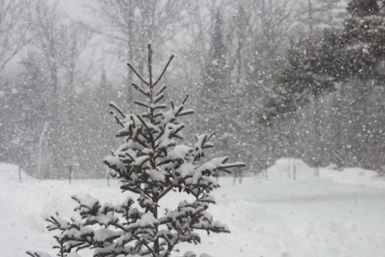 Memphis Braces for Cold Spell with Potential Snow Showers, Chilly Winds on the Horizon