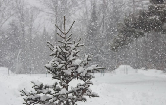 Memphis Braces for Cold Spell with Potential Snow Showers, Chilly Winds on the Horizon