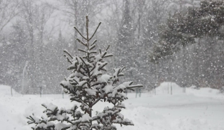Memphis Braces for Cold Spell with Potential Snow Showers, Chilly Winds on the Horizon
