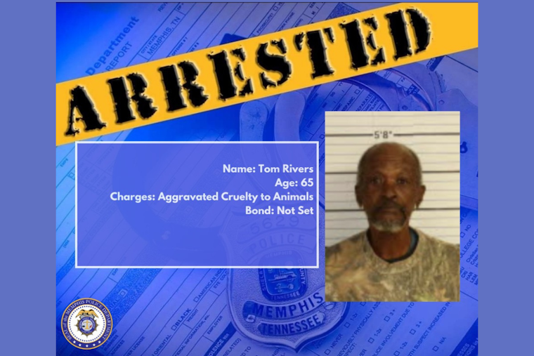 Memphis Man Charged With Aggravated Cruelty After 29 Malnourished Dogs Seized from Property