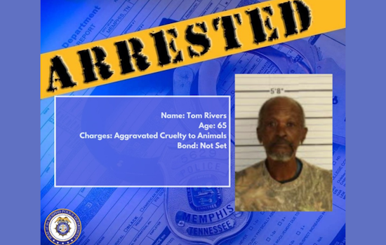 Memphis Man Charged With Aggravated Cruelty After 29 Malnourished Dogs Seized from Property