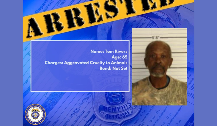 Memphis Man Charged With Aggravated Cruelty After 29 Malnourished Dogs Seized from Property