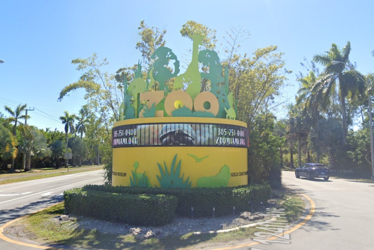 Miami-Dade County Bus Operators to Showcase Skills at Annual Bus Roadeo at Zoo Miami