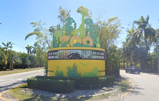 Miami-Dade County Bus Operators to Showcase Skills at Annual Bus Roadeo at Zoo Miami