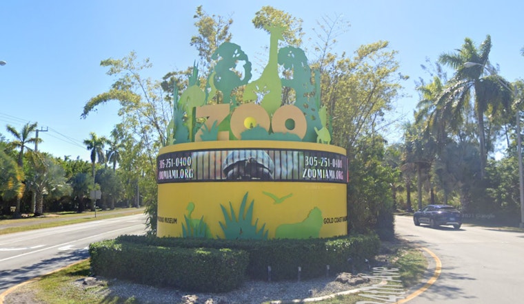 Miami-Dade County Bus Operators to Showcase Skills at Annual Bus Roadeo at Zoo Miami