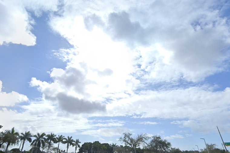 Miami Forecast, Weather Roller Coaster with Fluctuating Temperatures Ahead