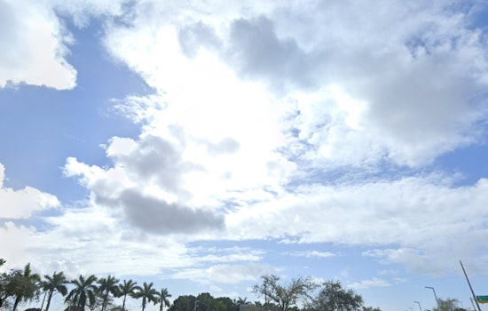 Miami Forecast, Weather Roller Coaster with Fluctuating Temperatures Ahead