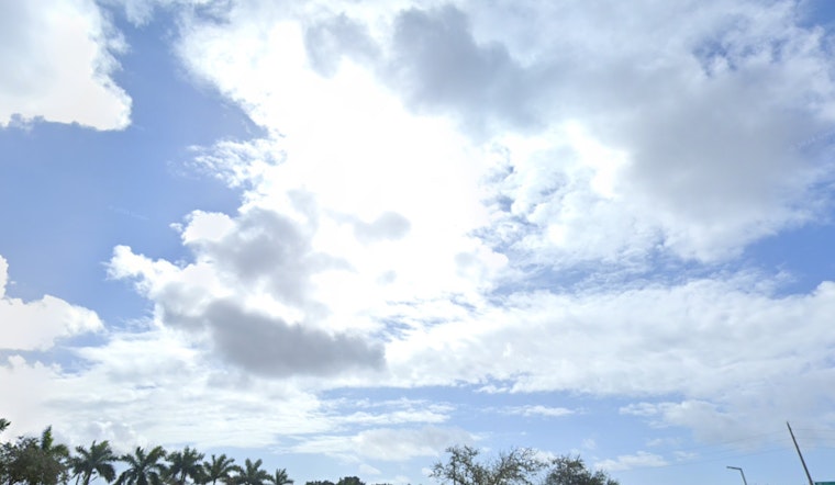 Miami Forecast, Weather Roller Coaster with Fluctuating Temperatures Ahead
