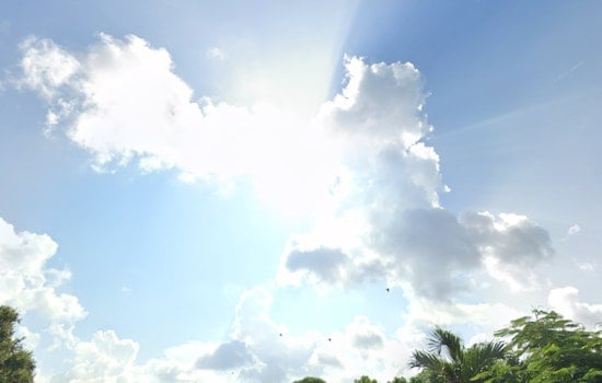 Miami Waves Goodbye to Cold Snap, Warmer Days Projected as Temperatures Climb