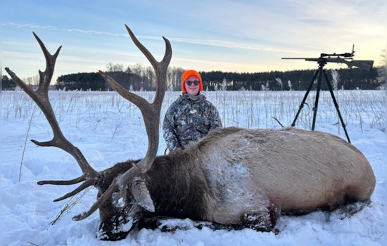 Michigan Hunters Harvest 180 Elk in 2024 Season Amid Varied Conditions