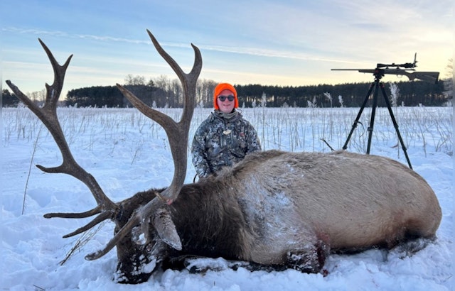 Michigan Hunters Harvest 180 Elk in 2024 Season Amid Varied Conditions