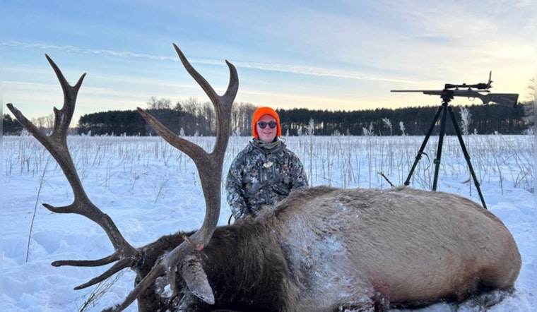 Michigan Hunters Harvest 180 Elk in 2024 Season Amid Varied Conditions