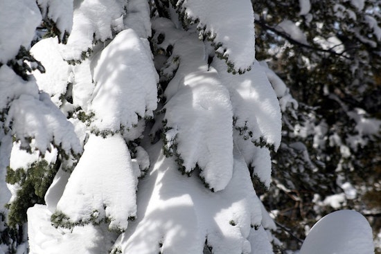 Michigan Mobilizes Warming Shelters as Arctic Blast Threatens Safety of Homeless Population
