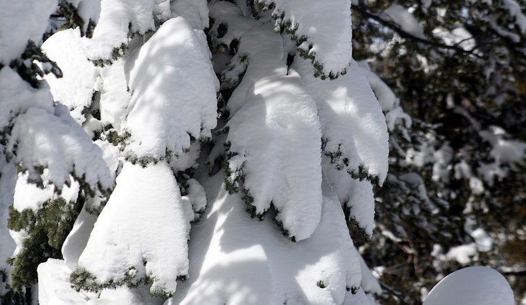 Michigan Mobilizes Warming Shelters as Arctic Blast Threatens Safety of Homeless Population