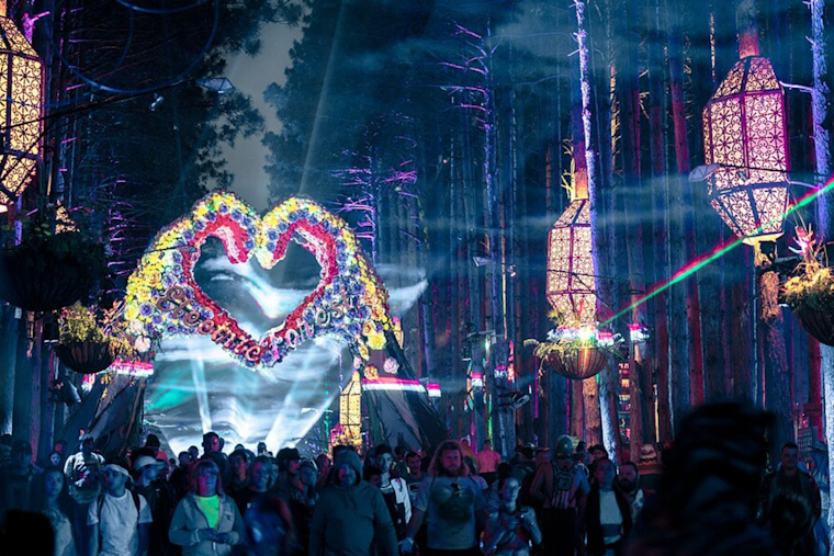 Michigan State Police Investigate Remains Found Near Rothbury Music Festival Venue