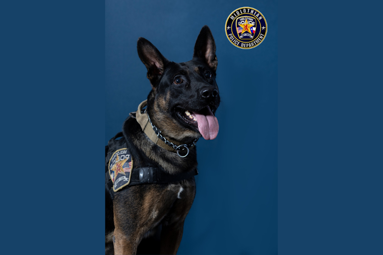 Midlothian Community Mourns the Loss of Beloved K9 Officer Vito After Battle with Health Issues