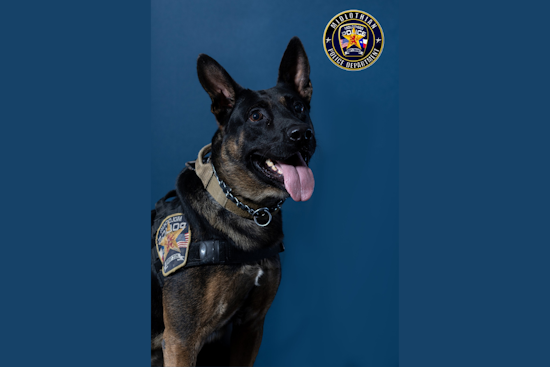 Midlothian Community Mourns the Loss of Beloved K9 Officer Vito After Battle with Health Issues