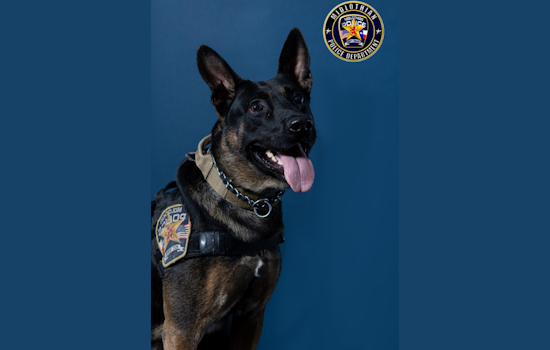 Midlothian Community Mourns the Loss of Beloved K9 Officer Vito After Battle with Health Issues