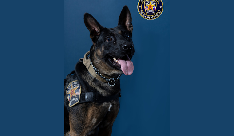 Midlothian Community Mourns the Loss of Beloved K9 Officer Vito After Battle with Health Issues