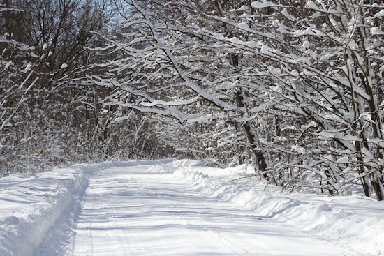 Millions on Gulf Coast Brace for Rare Winter Storm as Arctic Blast Grips Eastern US