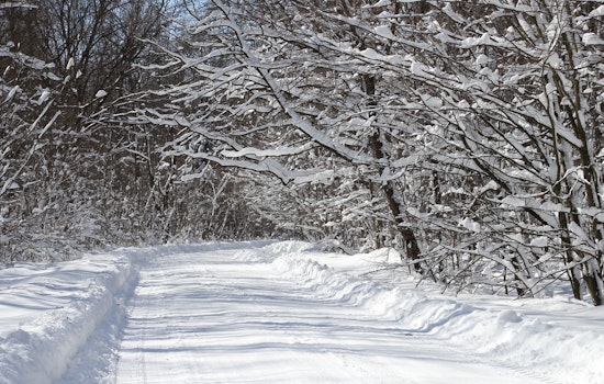 Millions on Gulf Coast Brace for Rare Winter Storm as Arctic Blast Grips Eastern US