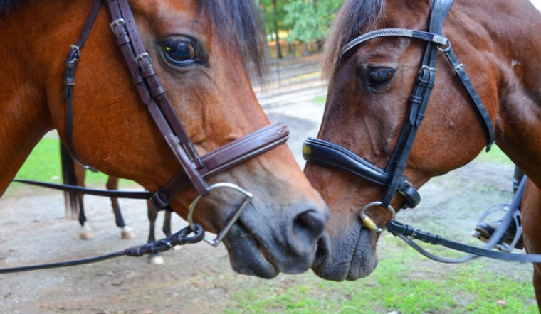 Milton Equestrian Committee Debates Land Incentives, Elects New Leaders in Its 2025 Inaugural Meeting