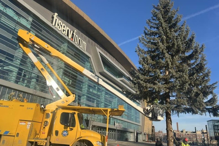 Milwaukee Farewells Festive Spirit as Christmas Tree Comes Down, City Thanks DPW Forestry Team