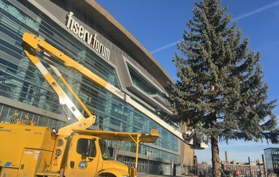 Milwaukee Farewells Festive Spirit as Christmas Tree Comes Down, City Thanks DPW Forestry Team