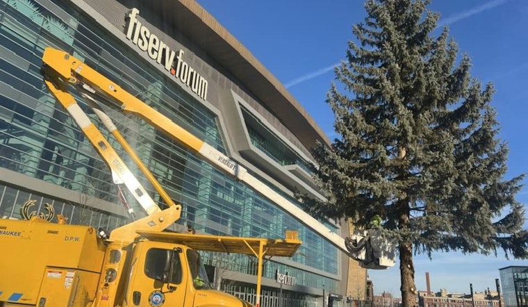 Milwaukee Farewells Festive Spirit as Christmas Tree Comes Down, City Thanks DPW Forestry Team