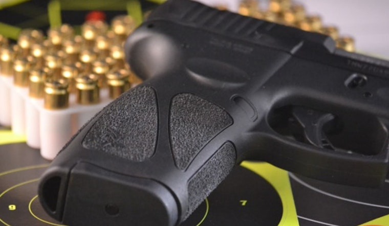 Minnesota's Gun Violence Prevention Effort Shows Progress with 140 ERPOs Filed Since Law's Inception